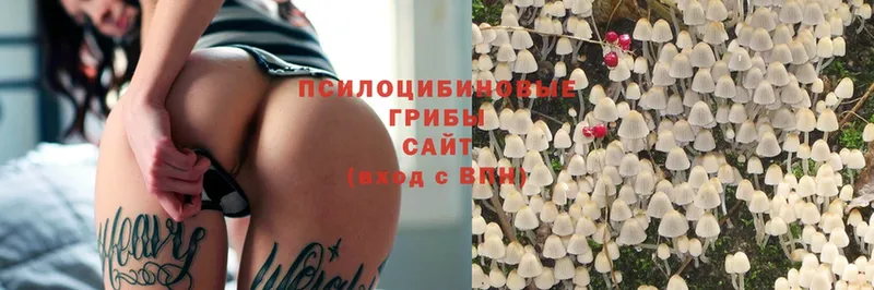 Галлюциногенные грибы MAGIC MUSHROOMS  Фёдоровский 